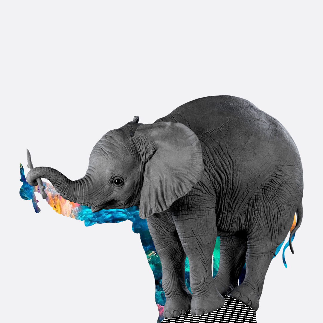 Слоненок с палочкой иллюстрирует статью о welcome-цепочке email-рассылок.
